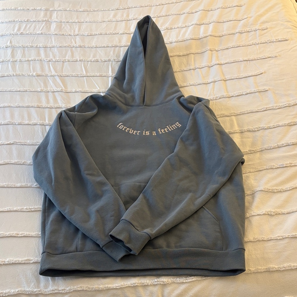 OFFICIAL Lucy Dacus Forever is a Feeling Blue Embroidered Hoodie